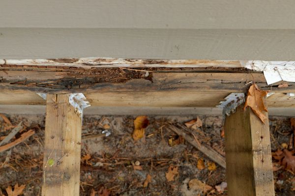 Midland Wood Rot Repair