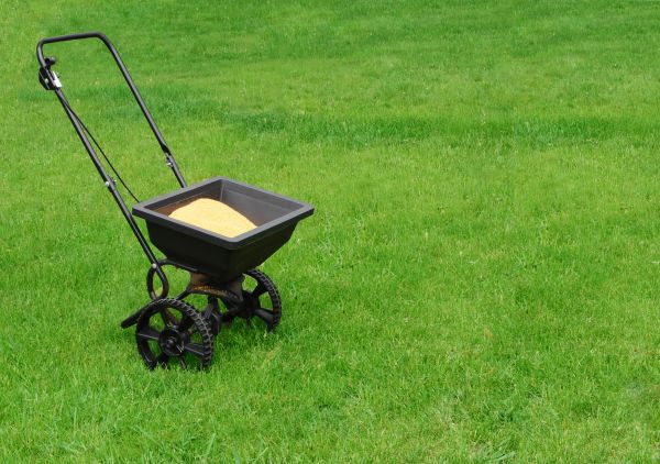 Midland Lawn Treatment
