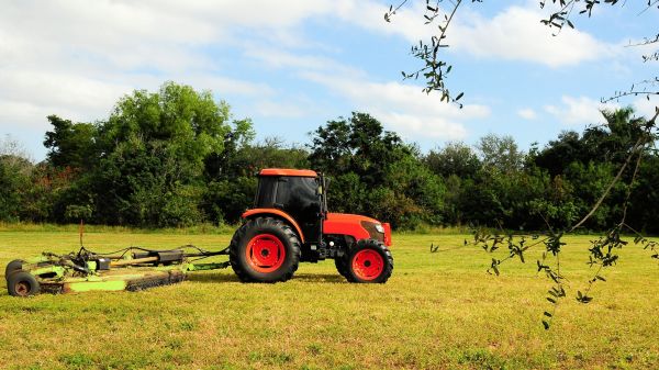 Midland Bush Hogging